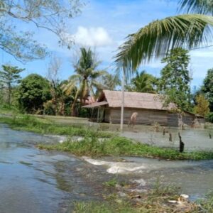 70 Persen Pemukiman Desa di Lutra Terendam Banjir.